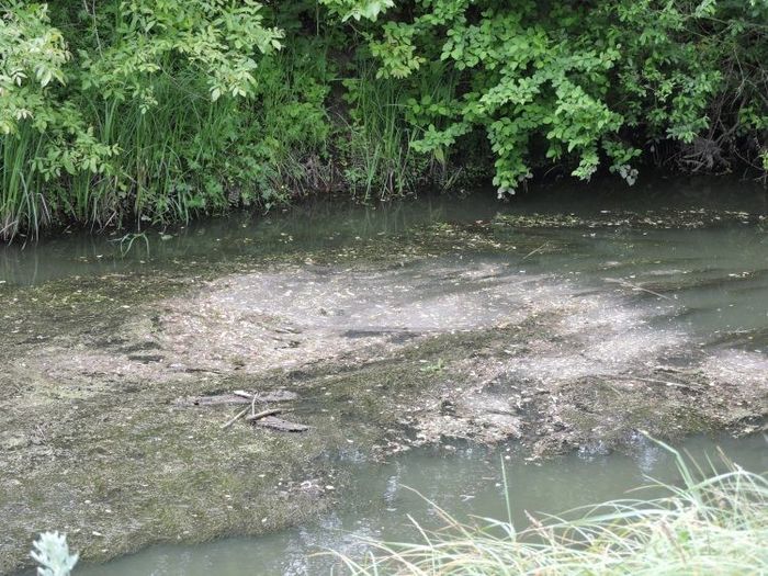 Чи зміниться ситуація з забрудненням Південного Бугу