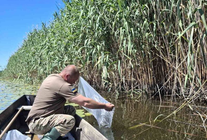 Водойму зарибнили на території заказника