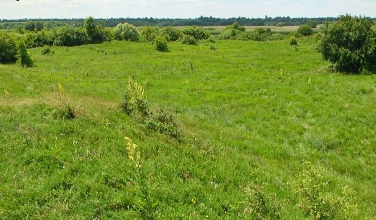 На Хмельниччині досліджують залишки унікальної фортеці