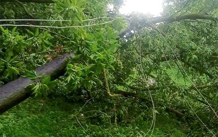 Негода на Хмельниччині