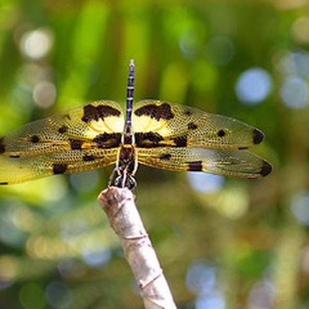 Фотогалерея «33-го каналу» «Світ навколо нас»