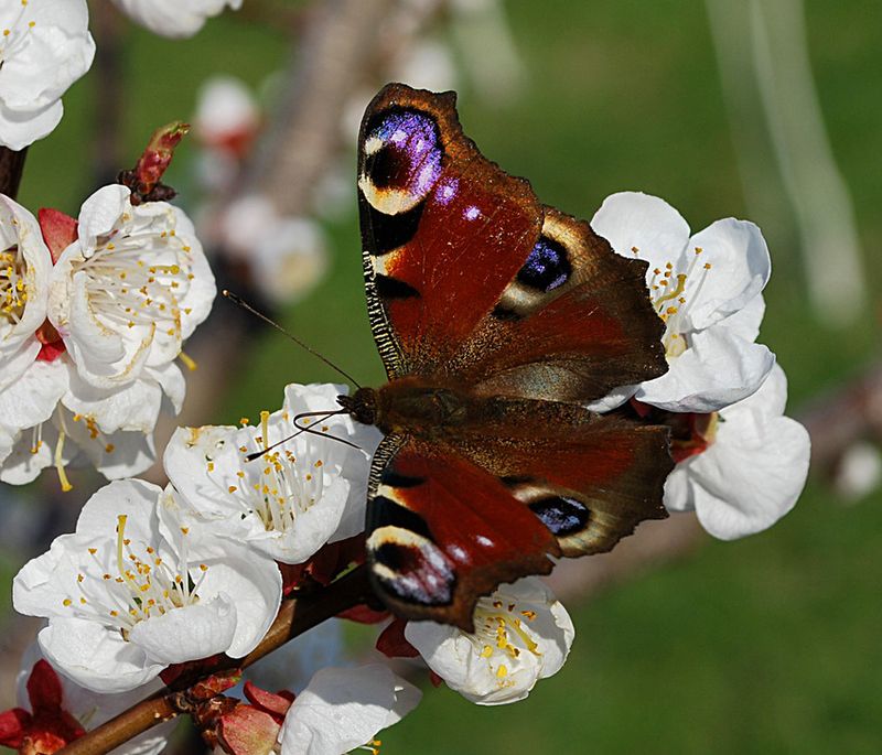 Фотогалерея «33-го каналу» «Світ навколо нас»