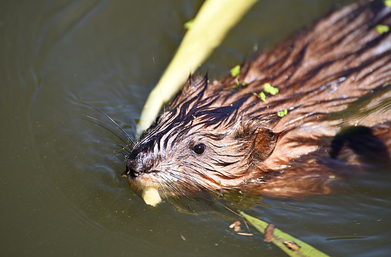 Фотогалерея «33-го каналу» «Світ навколо нас»