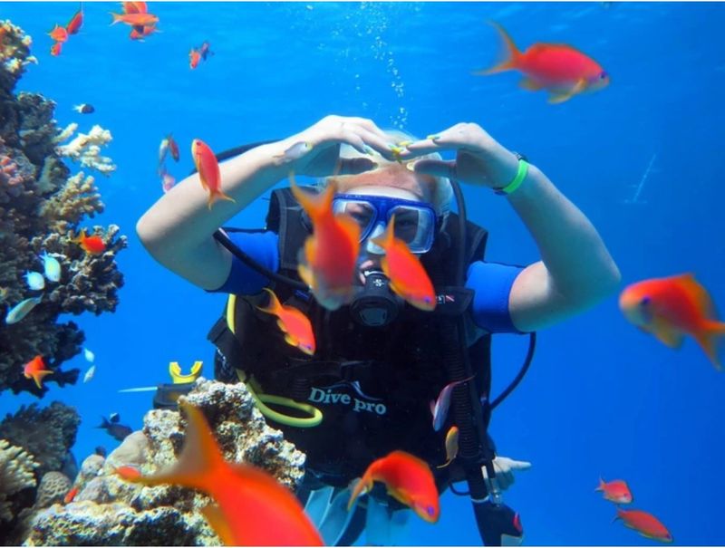 Камалія повернула доньок та зайнялась з ними дайвінгом