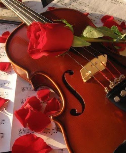 Комусь – щоб хліба скибка (вірш)