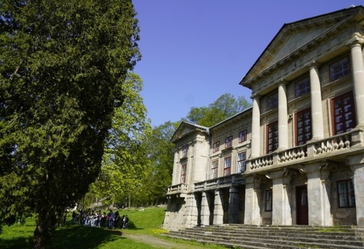 Вітер зламав найстарішого та найвищого ясена, якому було близько 300 років