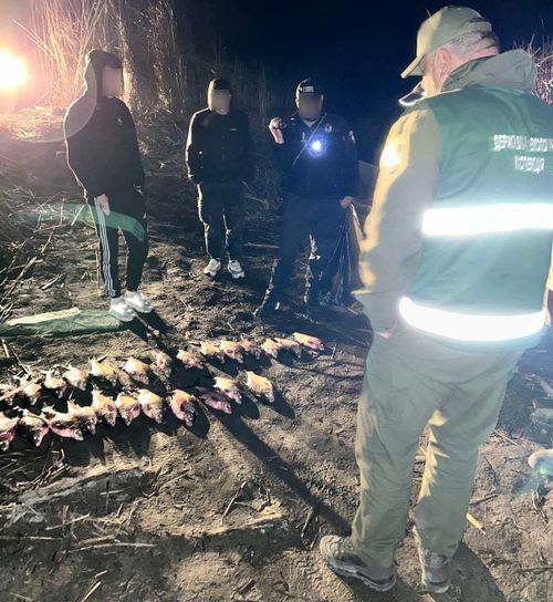 Заплатять понад 100 тисяч за незаконний вилов риби