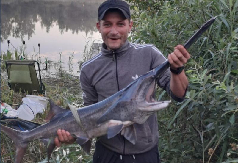 Спіймана риба налякала рибалку