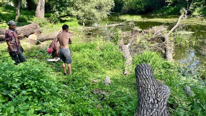 У Національному парку «Буша» розчистили Мурафу