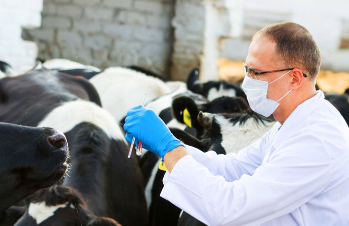 Посадовці Держпродспоживслужби тримали 4 млн у чорній касі