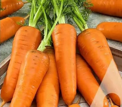 Продукти від паразитів