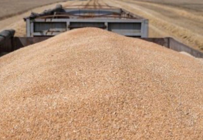 В рф – наступає зернова криза