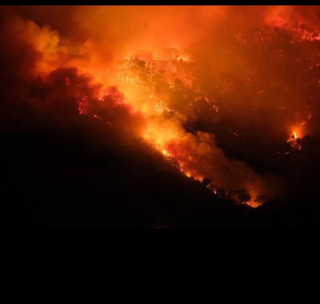 Цього літа Європу накрили наймасштабніші лісові пожежі за всю історію спостережень.