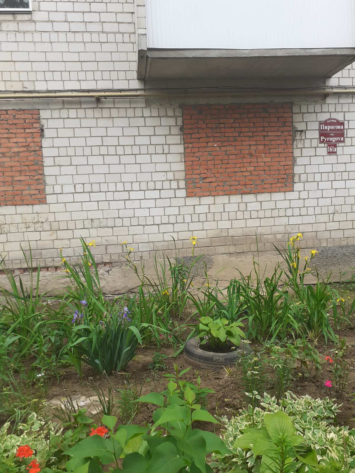 Вінницькі слідчі повідомили про підозру колишній держреєстраторці