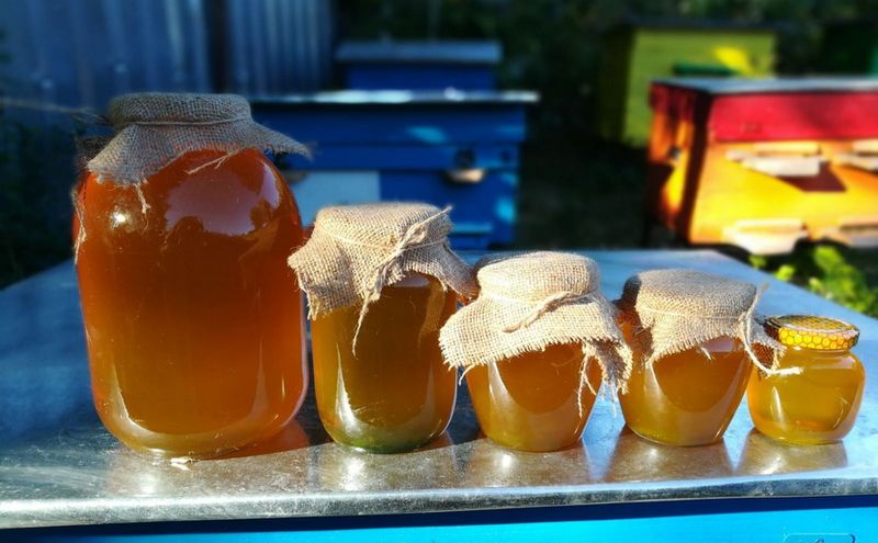 Україна – у трійці найбільших світових експортерів меду