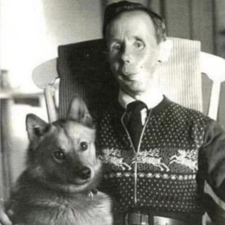 Снайпер – легенда. Вороги називали його Біла смерть