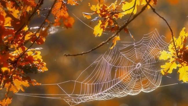 Що буде за вересневим похолоданням?