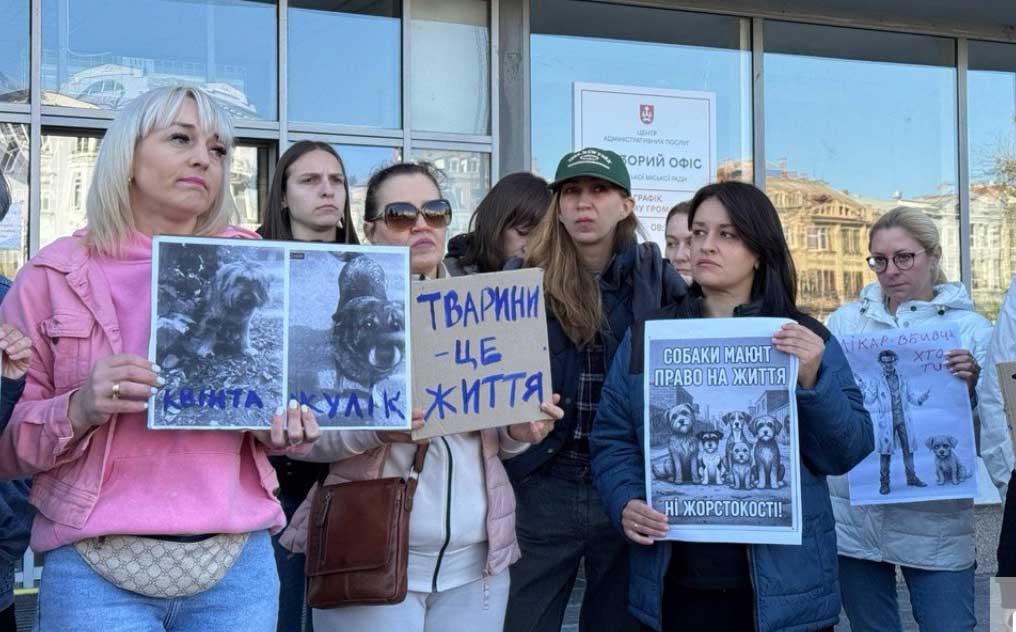 Розслідувати вбивство собак на території обласної лікарні вимагали активісти під стінами обласної та міської рад у Вінниці