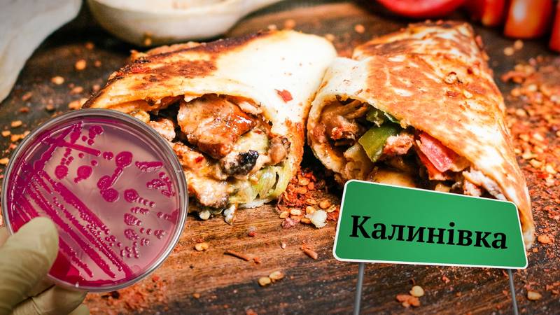 Через порушення санітарних норм у Вінниці оштрафують 9 торгівців фастфудом