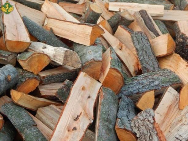 Де вінничани зможуть купити дрова на зиму