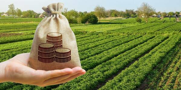 Хто має право на звільнення від сплати земельного податку