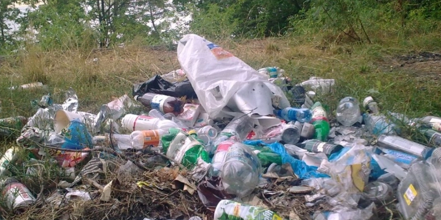 Екологи фіксують в лісах “пластикові дощі”