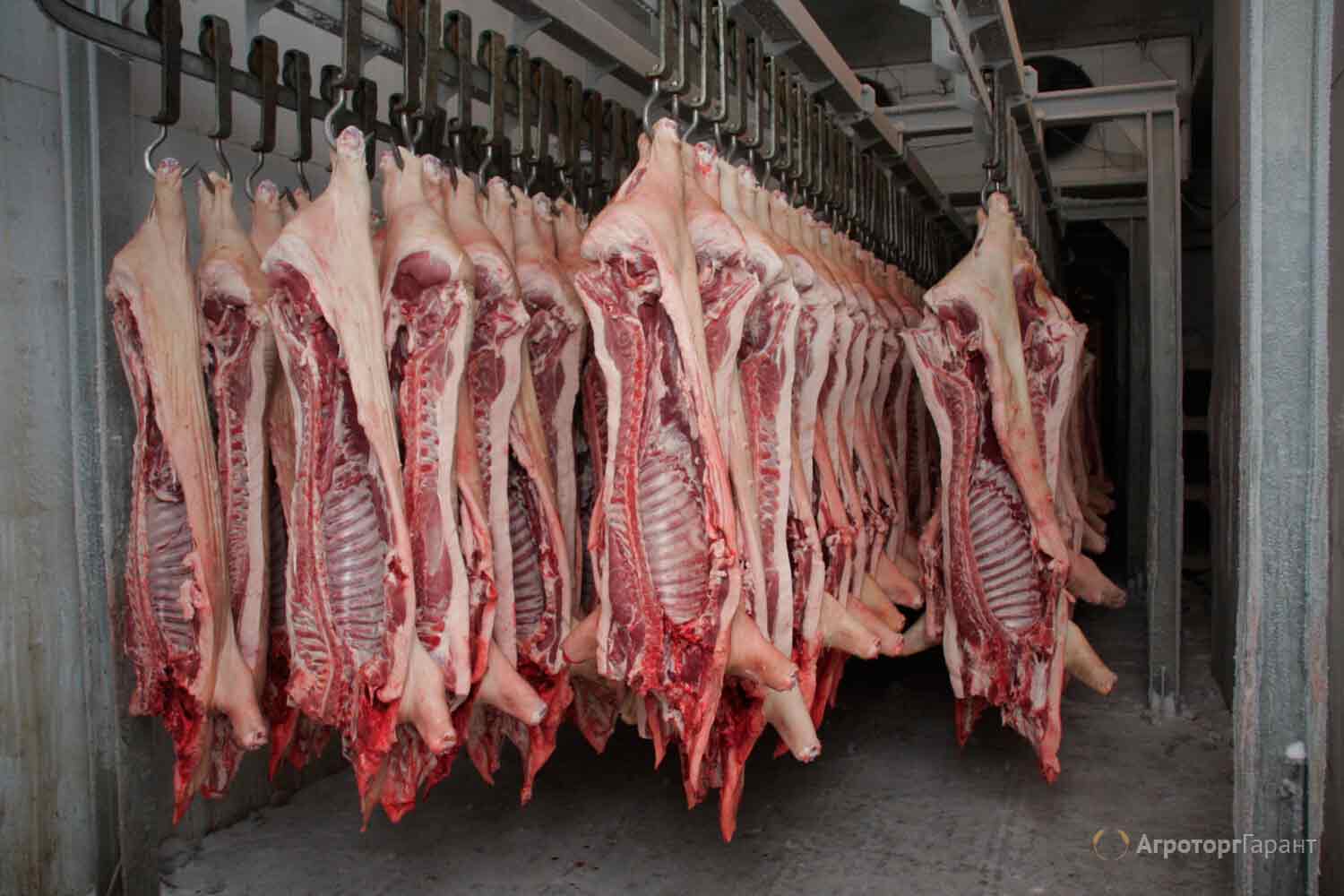 Україна збільшила у 8 разів імпорт свинини