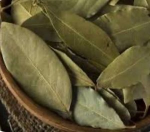 Навіщо в цукорницю кладуть лавровий лист?