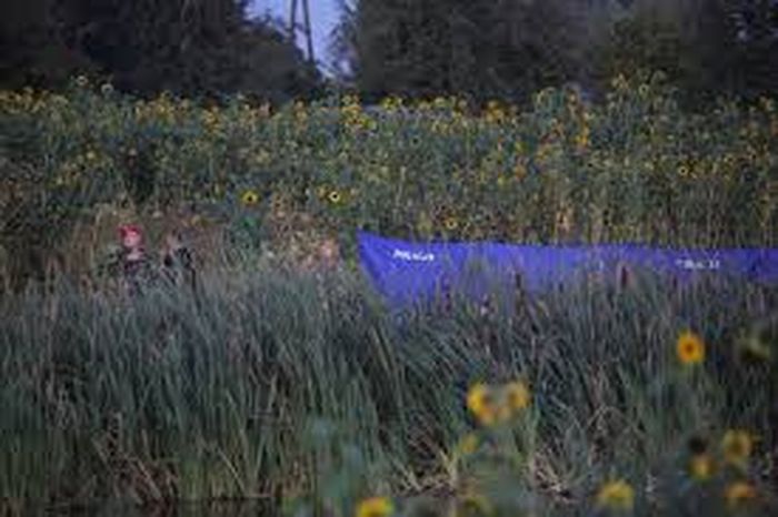 У польському лісі знайшли уламки ще двох дронів