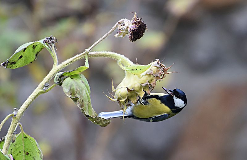Фотогалерея «33-го каналу» «Світ навколо нас»