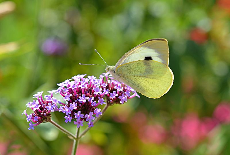 Фотогалерея «33-го каналу» «Світ навколо нас»