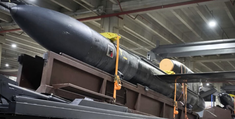 Українська крилата ракета “Фламінго” існує і вже запускається в серію