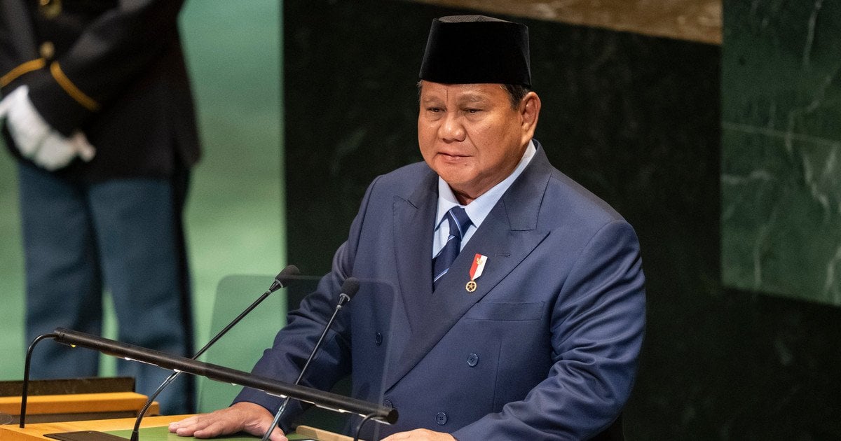 Індонезія може направити в Україну 20000 миротворців