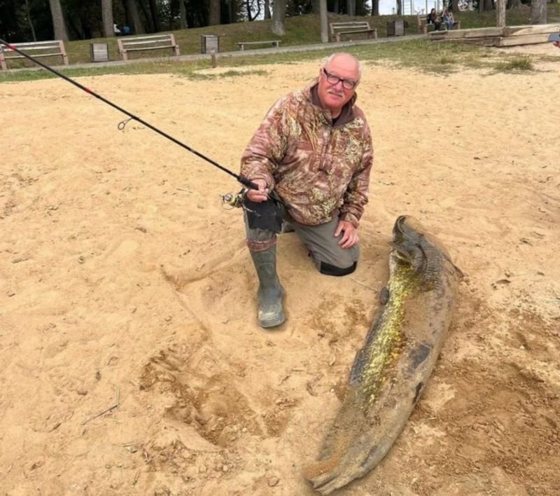 Сома завдовжки 176 сантиметрів впіймав рибалка з Бершаді