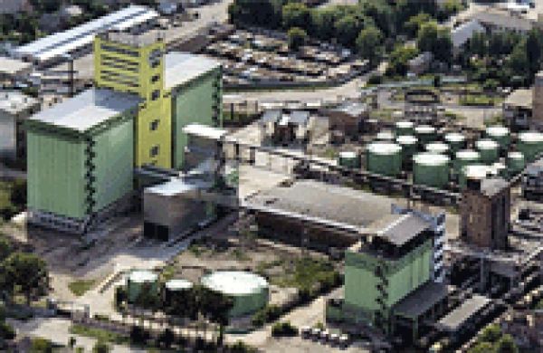 Нідерландська Bunge купує Вінницький олієжиркомбінат