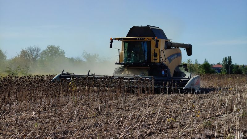 Вінницькі аграрії через негоду  втрачають частину врожаю