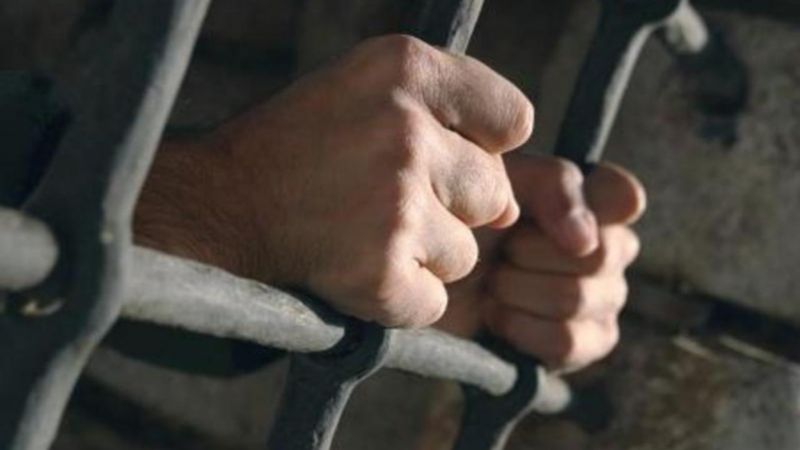 Пʼять років за вбивство собаки