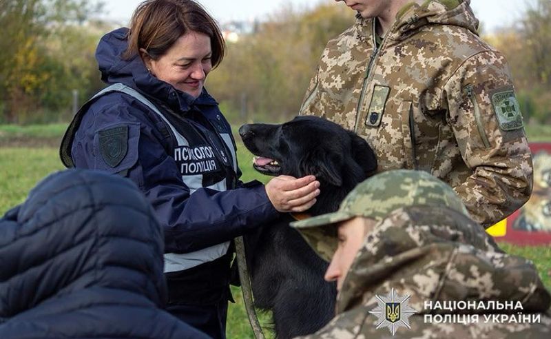 Емоційна підтримка від чотирилапих