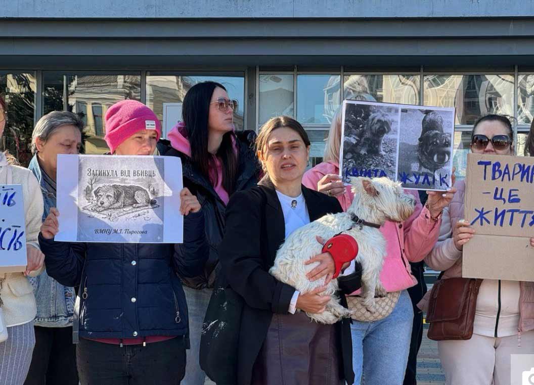 Розслідувати вбивство собак на території лікарні вимагали активісти під стінами обласної та міської рад у Вінниці