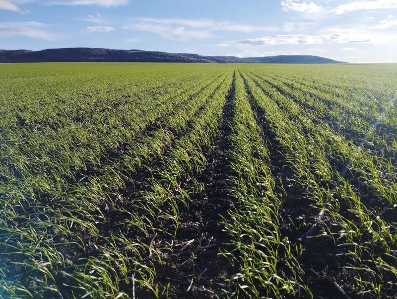 Дощі у Вінницькій області заважали польовим роботам