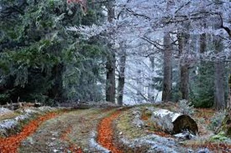 У листопаді Україну накриє сильний мороз