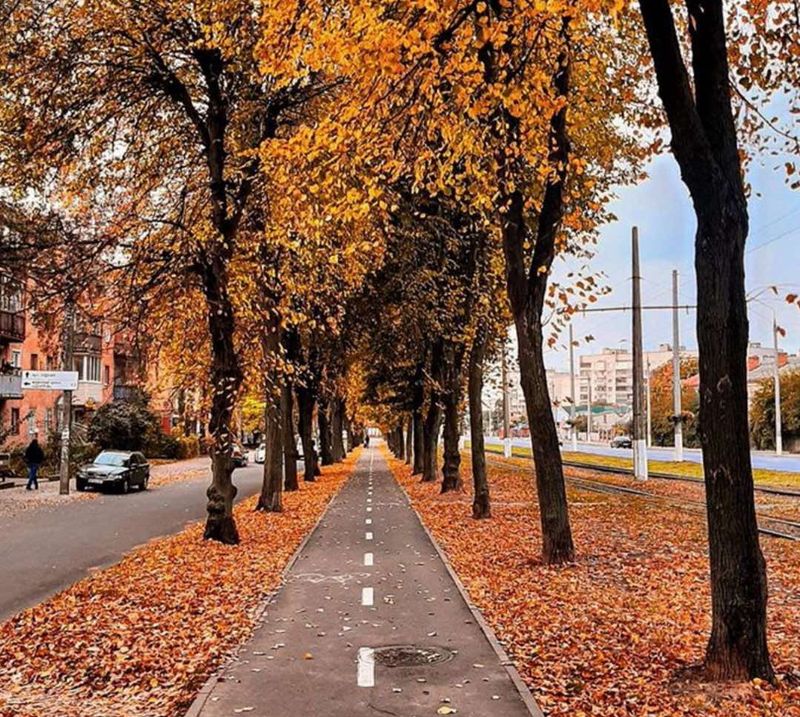 Похолодання на Поділля принесе циклон з Європи