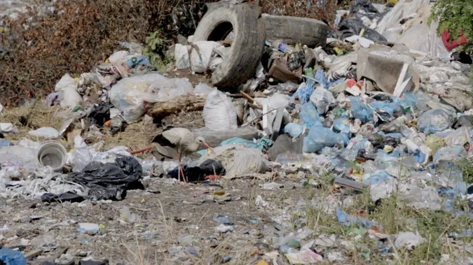 Підприємця з Вінниці оштрафували на півмільйона за незаконне сміттєзвалище