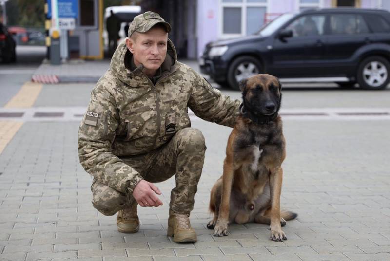 Вівчарку Кая взяли на службу прикордонники з Вінниччини.