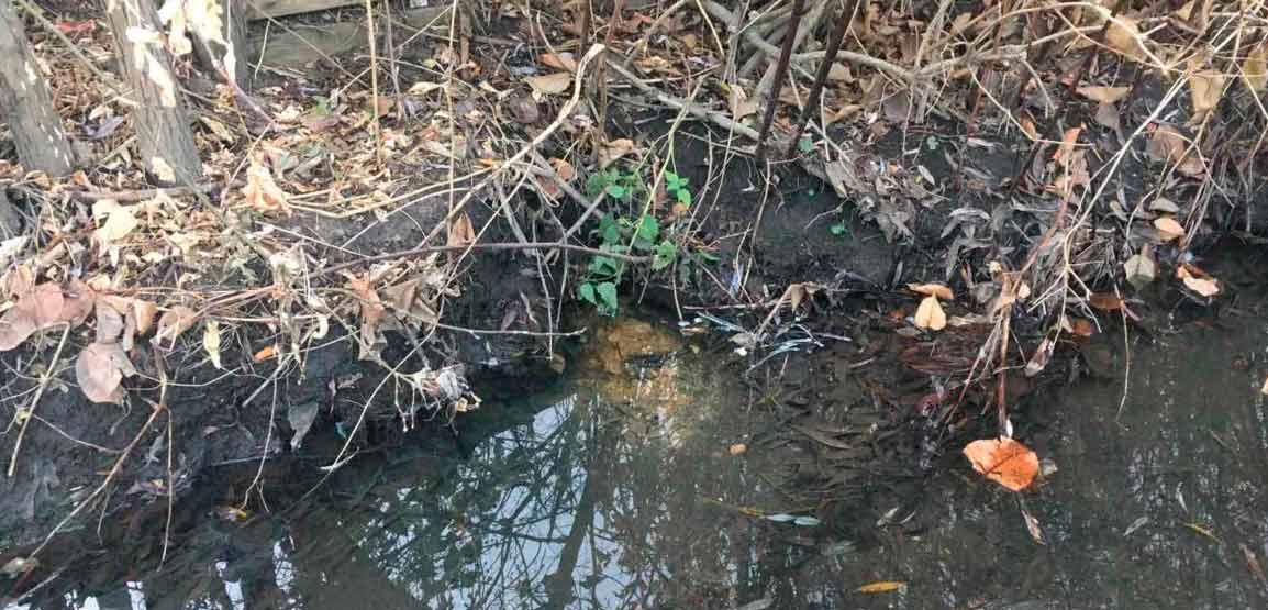 «Каналізаційні нечистоти затоплюють дорогу, поле. Вінничанам загрожує епідемія! Але власник насосної станції нічого не робить!»