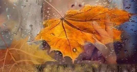 Сьогодні на Вінниччині хмарно та дощитиме