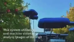 Дрони тепер збирають яблука на фермах