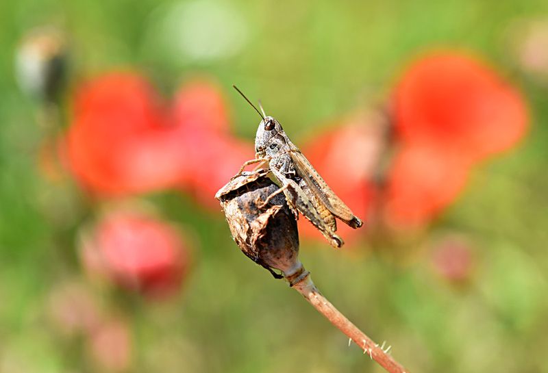 Фотогалерея «33-го каналу» «Світ навколо нас»