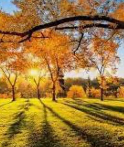 10 золотих істин, які приходять із віком: