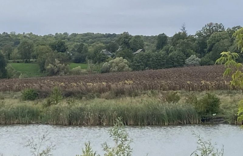 На Вінниччині продовжують розорювати прибережні зони